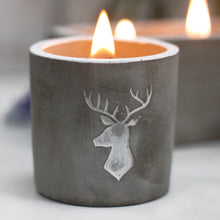 Load image into Gallery viewer, Med Pot - Stag Head - Whiskey &amp; Woodsmoke - Gift Success Limited
